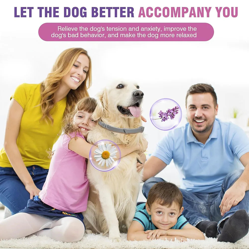 Obroża antystresowa dla psów i kotów – na lęk, stres i niepokój