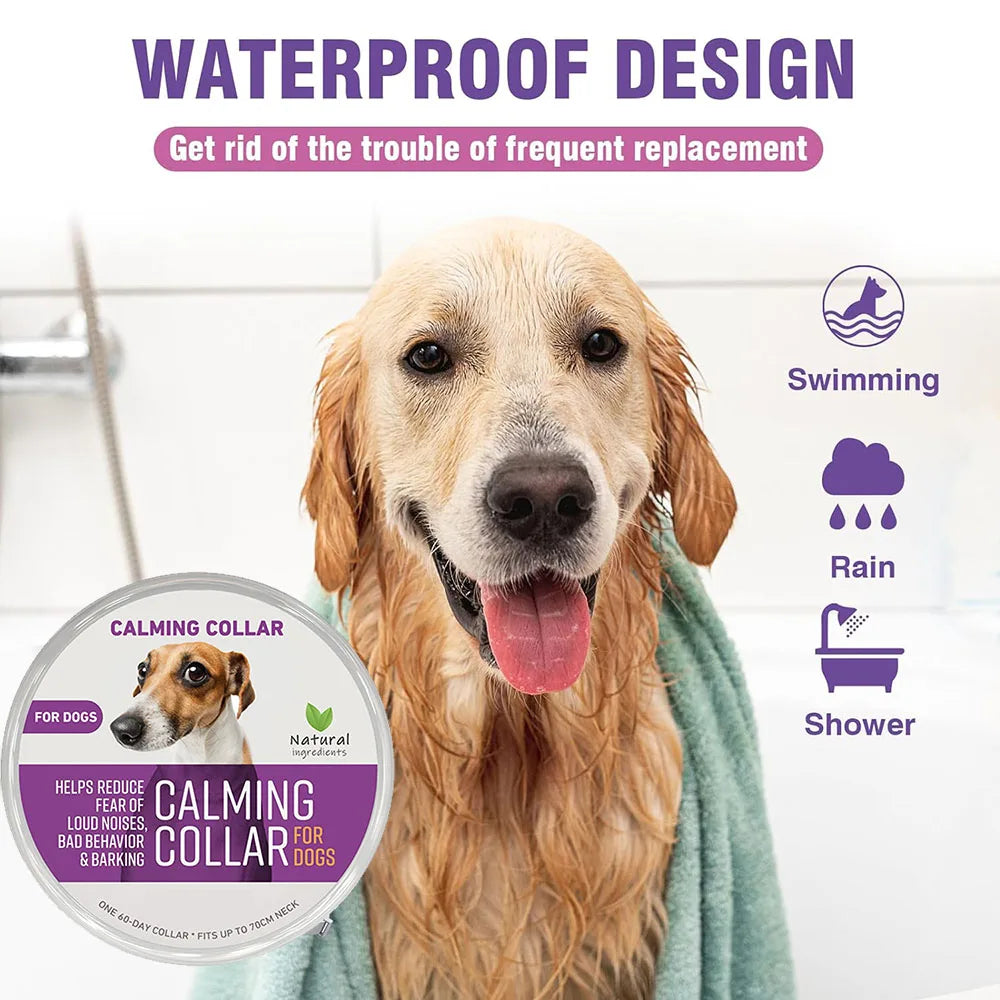 Obroża antystresowa dla psów i kotów – na lęk, stres i niepokój