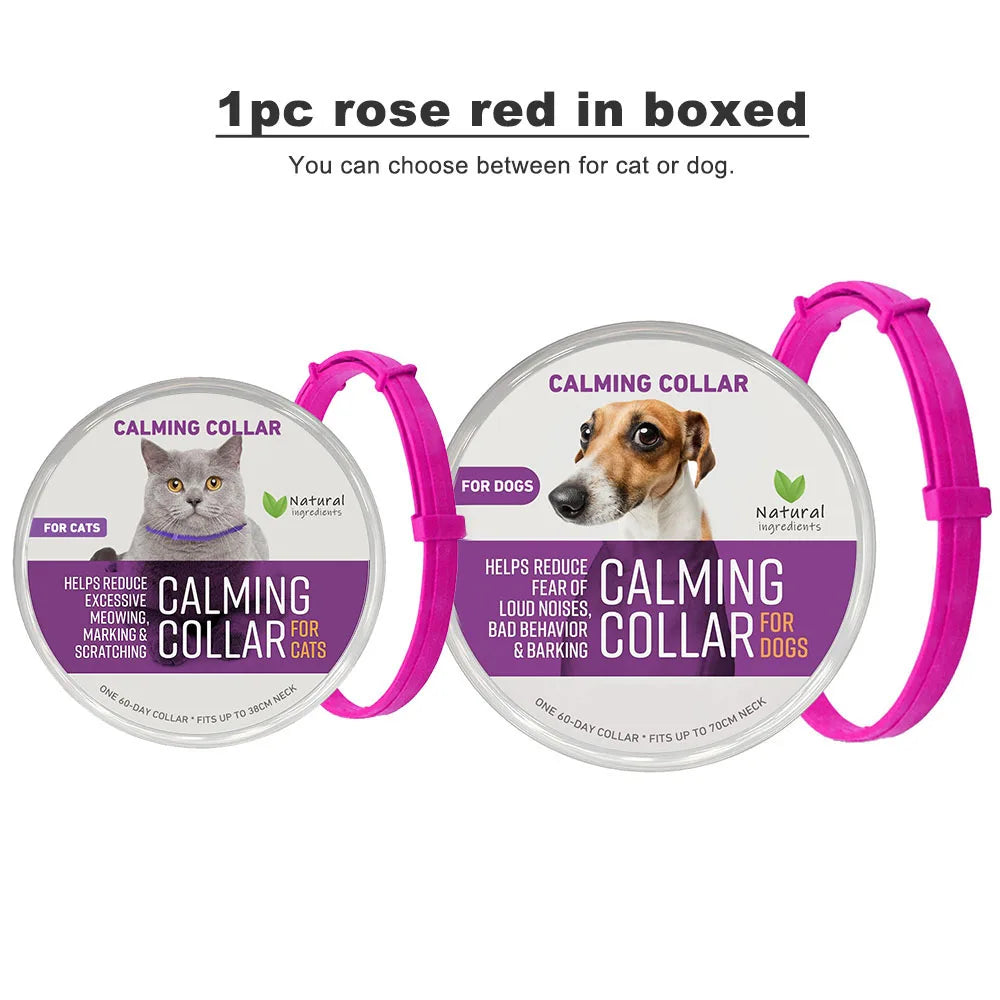 Obroża antystresowa dla psów i kotów – na lęk, stres i niepokój